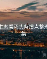 从内容生态看汤头条爆点整理彩蛋合集