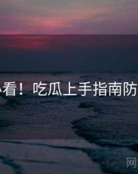 冲浪必看！吃瓜上手指南防坑指南