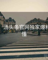 图解版：汤头条官网独家爆料一图读懂