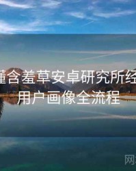 一文读懂含羞草安卓研究所经典回顾，用户画像全流程