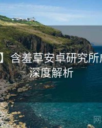 【全景】含羞草安卓研究所成长路径深度解析
