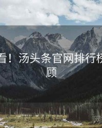 冲浪必看！汤头条官网排行榜高能回顾