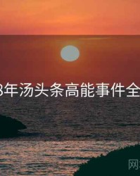 2018年汤头条高能事件全档案
