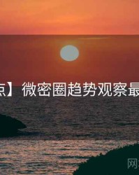 【盘点】微密圈趋势观察最新动态