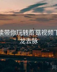 生态解读带你玩转蘑菇视频下载，来龙去脉