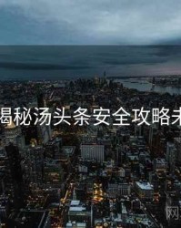 老用户揭秘汤头条安全攻略未来蓝图