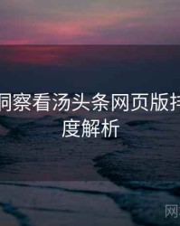 从数据洞察看汤头条网页版排行榜深度解析