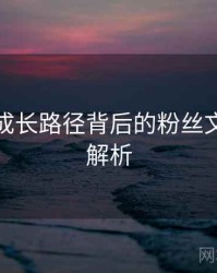 汤头条成长路径背后的粉丝文化深度解析